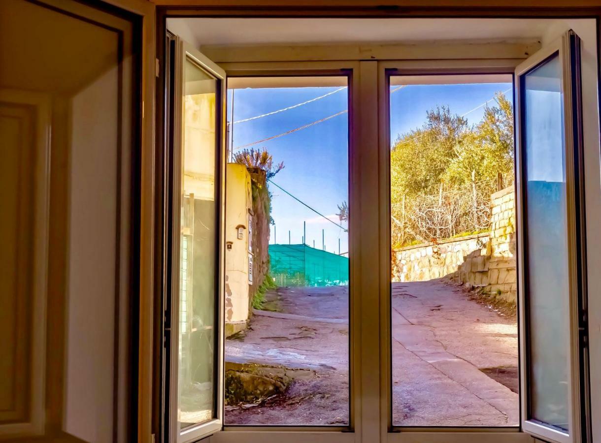 Casa Isetta & La Casetta Degli Dei Massa Lubrense Εξωτερικό φωτογραφία